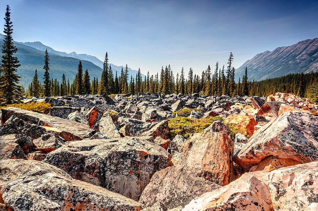 Field of rocky